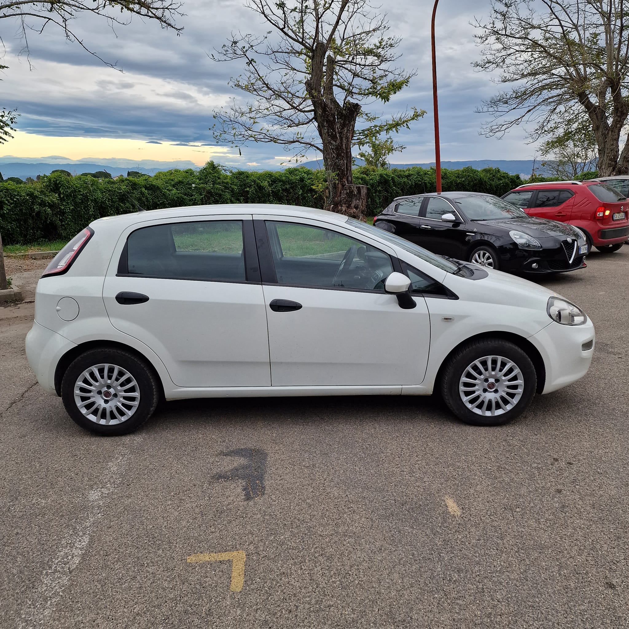 Fiat Punto Evov1.3 Multijet Lounge